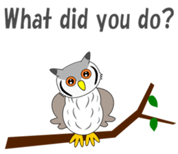 Conversation with Owl English sticker #5393122