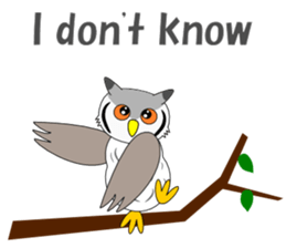 Conversation with Owl English sticker #5393124