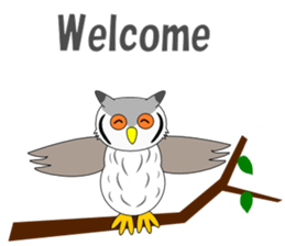 Conversation with Owl English sticker #5393125