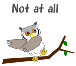 Conversation with Owl English sticker #5393126