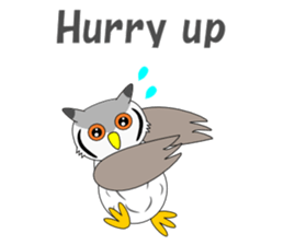 Conversation with Owl English sticker #5393133