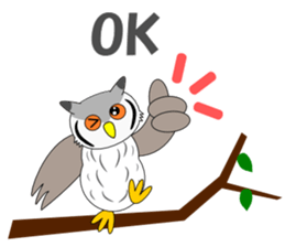 Conversation with Owl English sticker #5393136