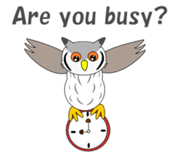 Conversation with Owl English sticker #5393150
