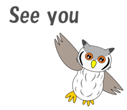 Conversation with Owl English sticker #5393155