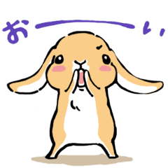Hi!! I'm Rabbit. 2nd!!