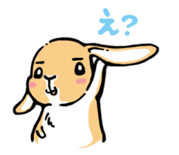 Hi!! I'm Rabbit. 2nd!! sticker #5396927