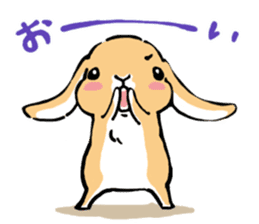 Hi!! I'm Rabbit. 2nd!! sticker #5396928
