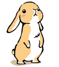Hi!! I'm Rabbit. 2nd!! sticker #5396929