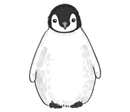 Chubby Penguins sticker #5397315