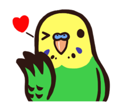Budgerigars4 sticker #5397850