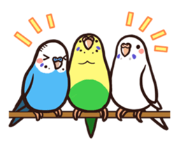 Budgerigars4 sticker #5397857