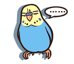 Budgerigars4 sticker #5397868