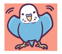 Budgerigars4 sticker #5397870