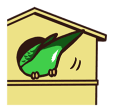 Budgerigars4 sticker #5397880