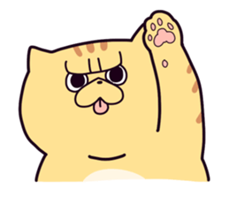 Exotic Shorthair cat sticker #5399444