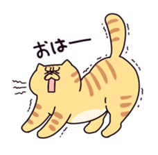 Exotic Shorthair cat sticker #5399446