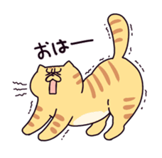 Exotic Shorthair cat sticker #5399446