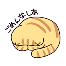 Exotic Shorthair cat sticker #5399449