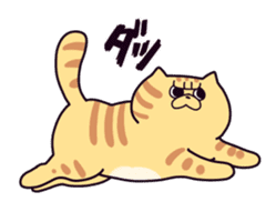 Exotic Shorthair cat sticker #5399463