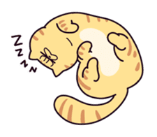 Exotic Shorthair cat sticker #5399465