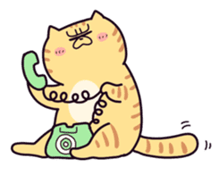 Exotic Shorthair cat sticker #5399472