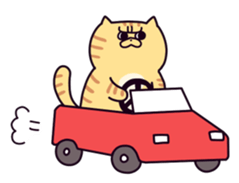 Exotic Shorthair cat sticker #5399478