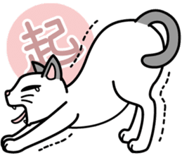Cat Cat Kitten sticker #5399490