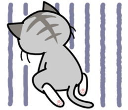Cat Cat Kitten sticker #5399491