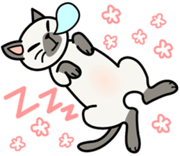 Cat Cat Kitten sticker #5399492