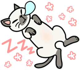 Cat Cat Kitten sticker #5399492