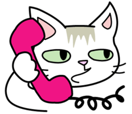 Cat Cat Kitten sticker #5399493