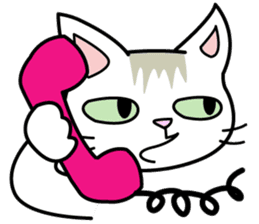 Cat Cat Kitten sticker #5399493