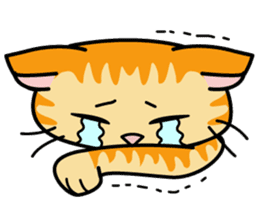 Cat Cat Kitten sticker #5399494