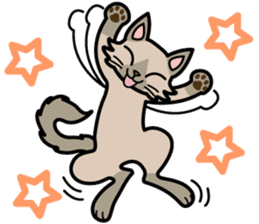 Cat Cat Kitten sticker #5399501