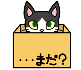 Cat Cat Kitten sticker #5399503