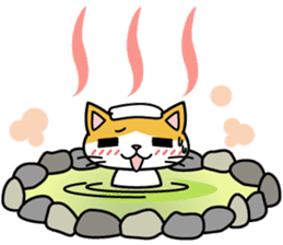 Cat Cat Kitten sticker #5399504