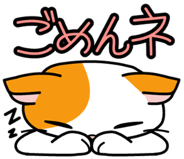 Cat Cat Kitten sticker #5399507