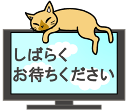 Cat Cat Kitten sticker #5399512