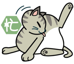 Cat Cat Kitten sticker #5399514