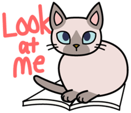 Cat Cat Kitten sticker #5399516