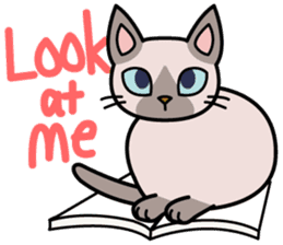 Cat Cat Kitten sticker #5399516