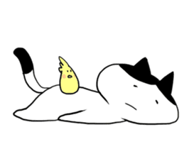 Okame cat and Cockatiel sticker #5405828