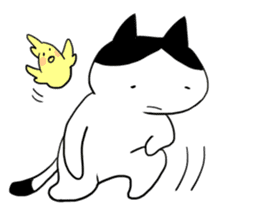 Okame cat and Cockatiel sticker #5405829
