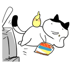 Okame cat and Cockatiel sticker #5405841