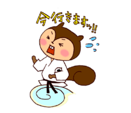 Karate Squirrel sticker #5406900
