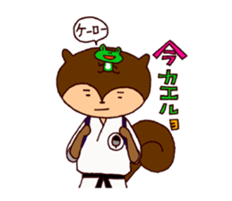 Karate Squirrel sticker #5406920