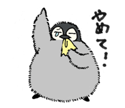 Baby Seal&Baby Penguin 2 sticker #5410703