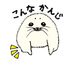 Baby Seal&Baby Penguin 2 sticker #5410708