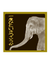 Funny animals 1 sticker #5411798