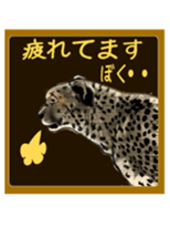 Funny animals 1 sticker #5411803